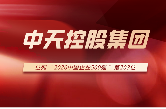 六合联盟集团列2020中国企业500强第203位！